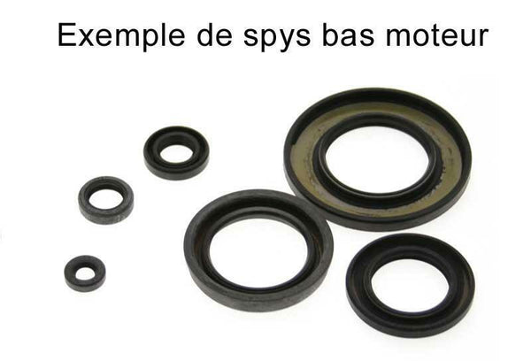 Centauro Oil Seal Set 731A406SR