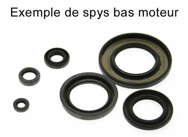 Centauro Oil Seal Set 990A156SR