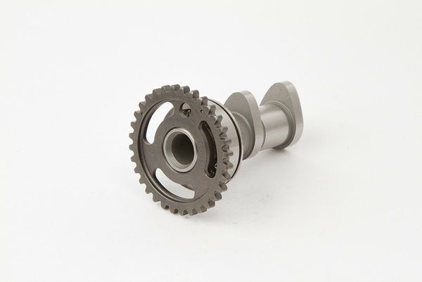 Spożycie wałka rozrządu Hot Cams - etap 1 2041-1in