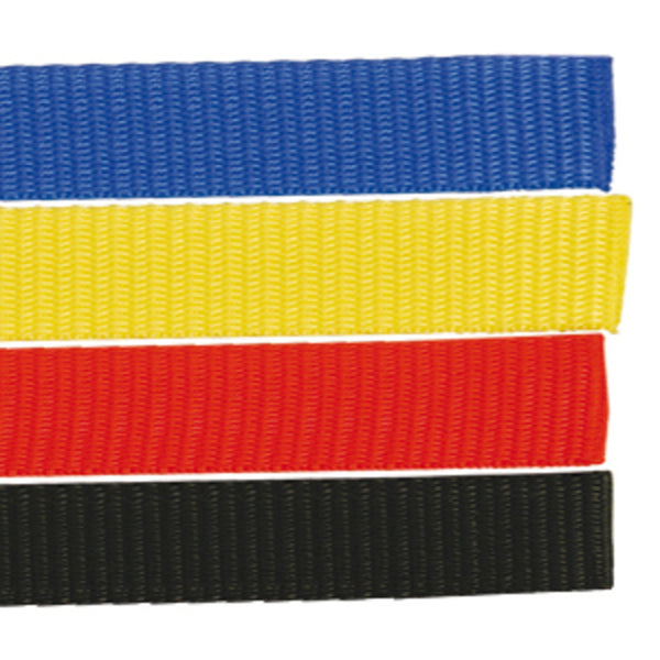 Art Type A Black Pasps Snb-a-Bk