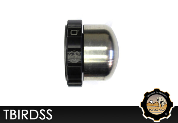 Kaoko Crut Control Stabilizer Triumph Thunderbird Tbirdsss