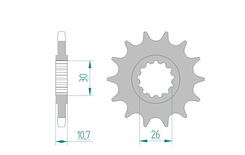 Afam Steel Standard przedni sprock 21607 - 525