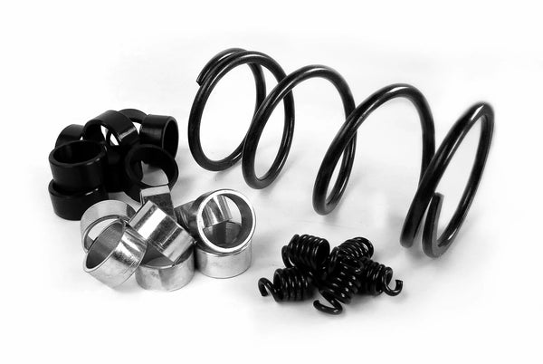 Zestaw sprzęgła Epi Kymco WE436800