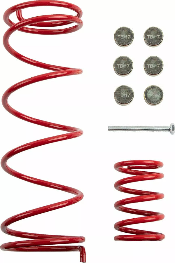 Zestaw sprzęgła Epi cfmoto WE437767