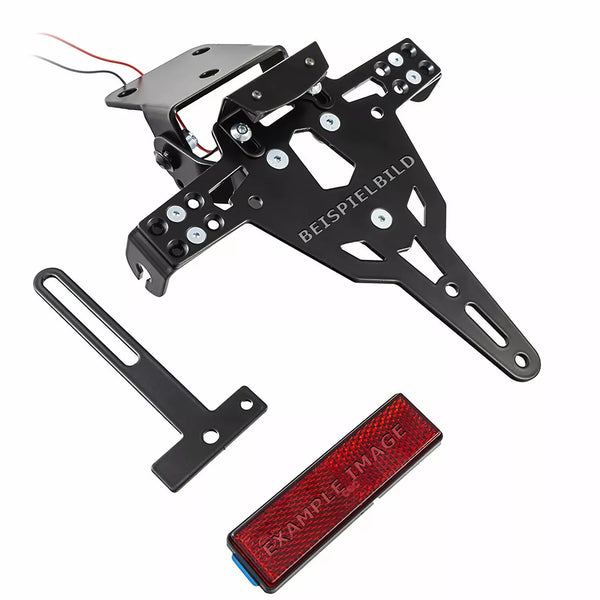 Zieger LCS PLT HLD Type D RS660 10008070