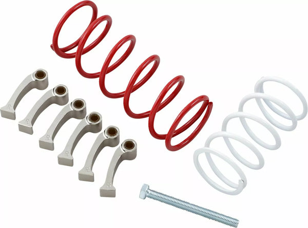 Zestaw sprzęgła Epi Can AM We437055