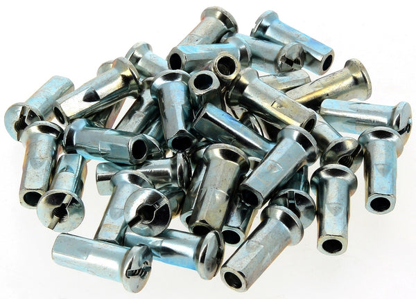 RFX mówi o orzechach 2000