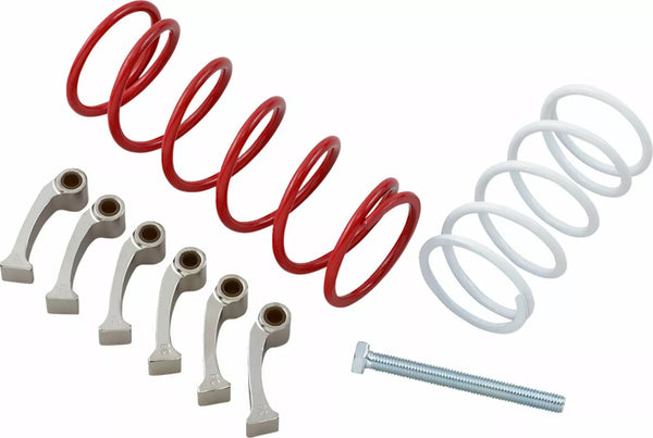 Zestaw sprzęgła Epi Can AM We436547