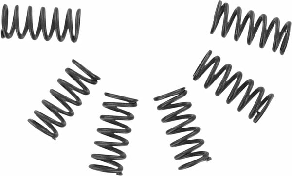 Zestaw sprężyny sprzęgła EBC CSK CSK002