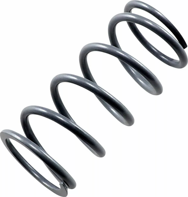 Epi podstawowa wiosna srebrna PS-6