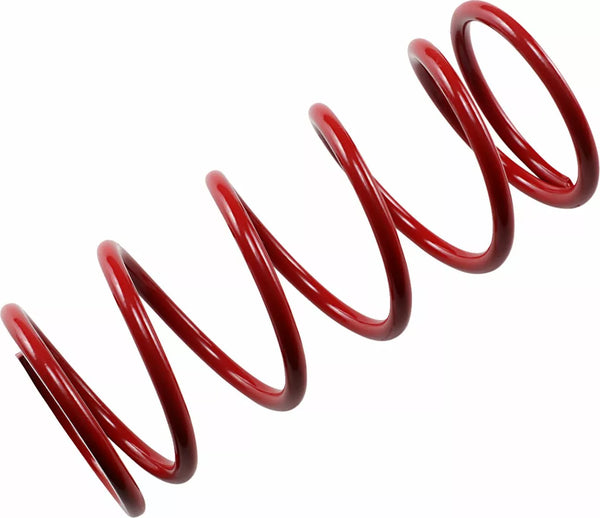 Epi rener wtórny wiosenny czerwony srer2