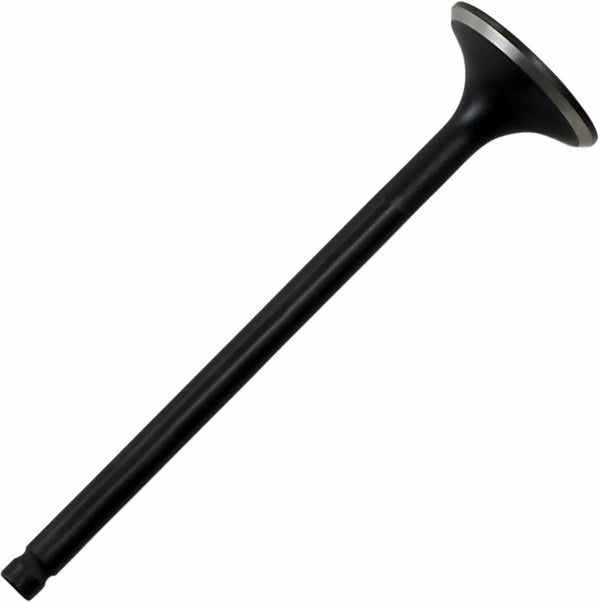 KibbleWhite int zawór TRX 250X/300EX 30-30088