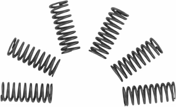 Zestaw sprężyny sprzęgła EBC CSK CSK032